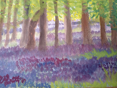 Christine P. Bluebell Wood, watercolour. 1.21.jpg